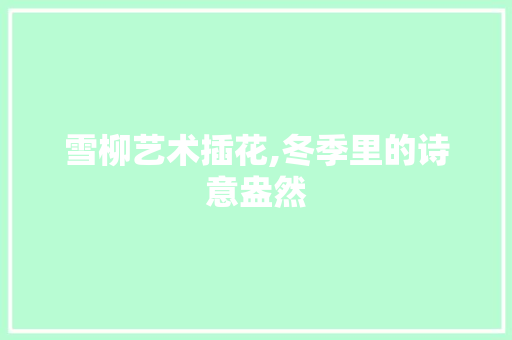雪柳艺术插花,冬季里的诗意盎然