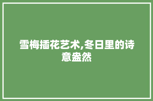 雪梅插花艺术,冬日里的诗意盎然