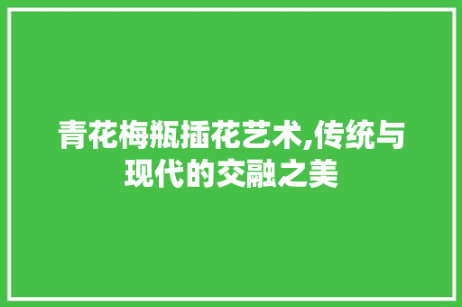 青花梅瓶插花艺术,传统与现代的交融之美