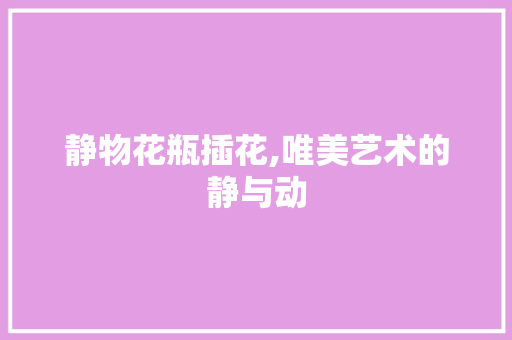 静物花瓶插花,唯美艺术的静与动