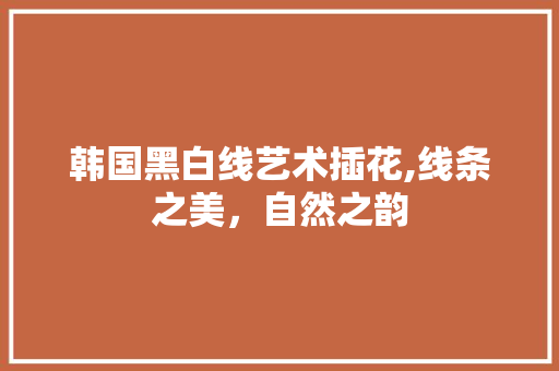 韩国黑白线艺术插花,线条之美，自然之韵
