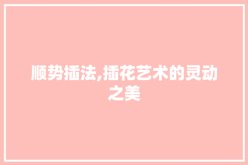 顺势插法,插花艺术的灵动之美