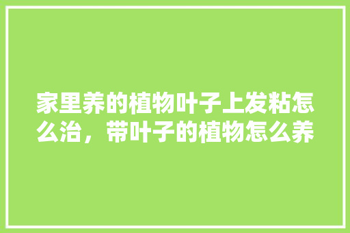 家里养的植物叶子上发粘怎么治，带叶子的植物怎么养护好呢。