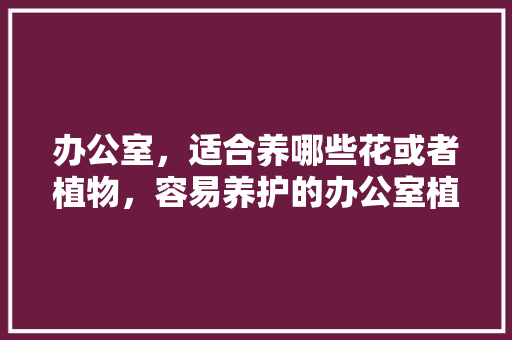办公室，适合养哪些花或者植物，容易养护的办公室植物有哪些。