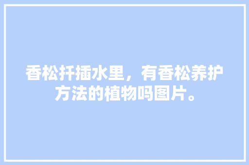 香松扦插水里，有香松养护方法的植物吗图片。  第1张 香松扦插水里，有香松养护方法的植物吗图片。 爬藤植物