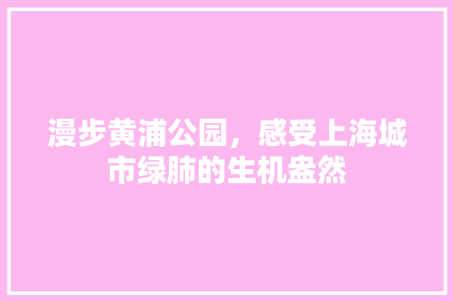 漫步黄浦公园，感受上海城市绿肺的生机盎然 观叶植物