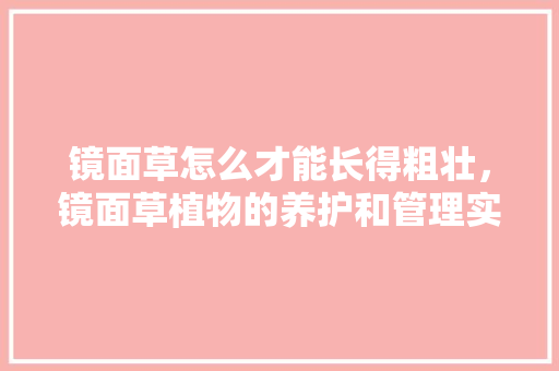 镜面草怎么才能长得粗壮，镜面草植物的养护和管理实验报告。