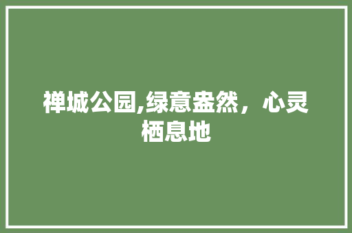 禅城公园,绿意盎然，心灵栖息地