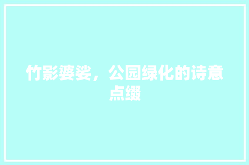 竹影婆娑，公园绿化的诗意点缀 土壤选择