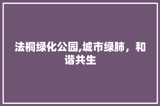 法桐绿化公园,城市绿肺，和谐共生 植物分类