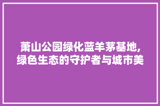 萧山公园绿化蓝羊茅基地,绿色生态的守护者与城市美化的先锋