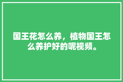 国王花怎么养，植物国王怎么养护好的呢视频。