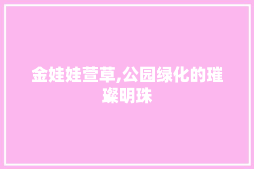 金娃娃萱草,公园绿化的璀璨明珠 土壤选择