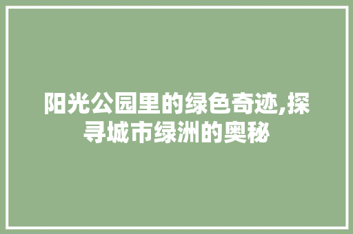 阳光公园里的绿色奇迹,探寻城市绿洲的奥秘 土壤选择