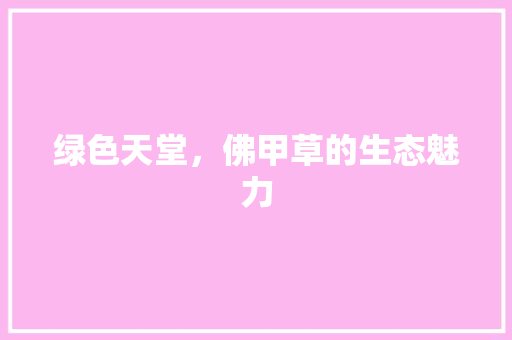 绿色天堂，佛甲草的生态魅力 灌溉技术