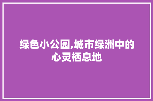 绿色小公园,城市绿洲中的心灵栖息地 观叶植物