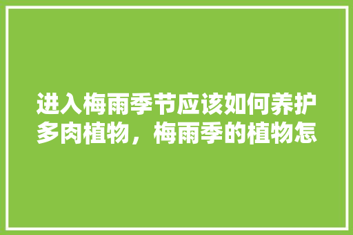 进入梅雨季节应该如何养护多肉植物，梅雨季的植物怎么养护好呢。