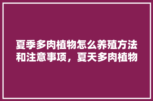 夏季多肉植物怎么养殖方法和注意事项，夏天多肉植物的养护方法有哪些。