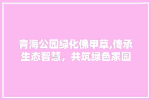 青海公园绿化佛甲草,传承生态智慧，共筑绿色家园 植物养护