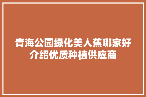 青海公园绿化美人蕉哪家好介绍优质种植供应商 植物栽培
