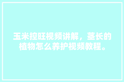 玉米控旺视频讲解，茎长的植物怎么养护视频教程。