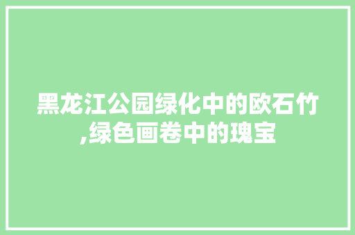 黑龙江公园绿化中的欧石竹,绿色画卷中的瑰宝