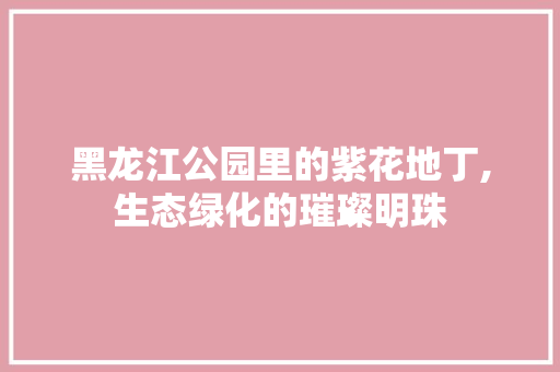 黑龙江公园里的紫花地丁,生态绿化的璀璨明珠 土壤选择