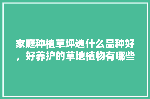 家庭种植草坪选什么品种好，好养护的草地植物有哪些图片。