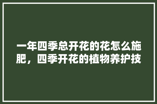 一年四季总开花的花怎么施肥，四季开花的植物养护技巧有哪些。