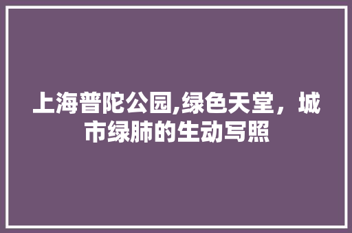 上海普陀公园,绿色天堂，城市绿肺的生动写照