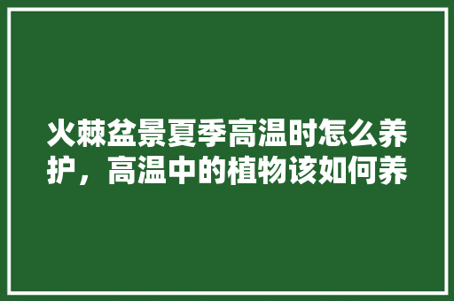 火棘盆景夏季高温时怎么养护，高温中的植物该如何养护呢。  第1张 火棘盆景夏季高温时怎么养护，高温中的植物该如何养护呢。 观叶植物