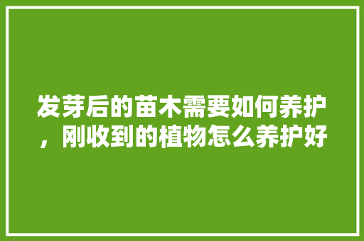 发芽后的苗木需要如何养护，刚收到的植物怎么养护好呢。  第1张 发芽后的苗木需要如何养护，刚收到的植物怎么养护好呢。 灌溉方法