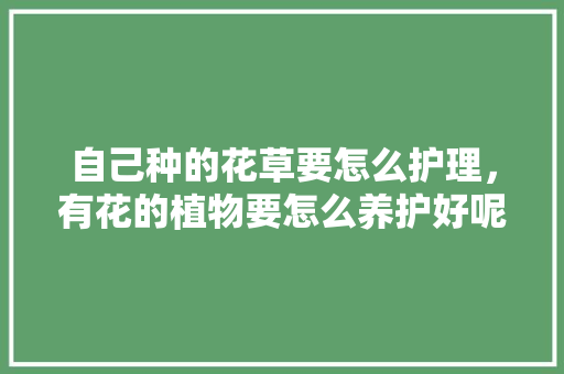 自己种的花草要怎么护理，有花的植物要怎么养护好呢。  第1张 自己种的花草要怎么护理，有花的植物要怎么养护好呢。 植物分类