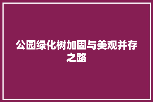公园绿化树加固与美观并存之路