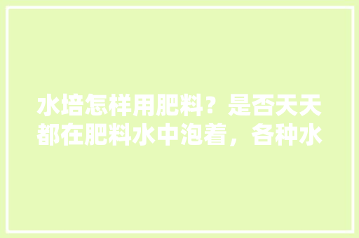 水培怎样用肥料？是否天天都在肥料水中泡着，各种水生植物的养护措施有哪些。