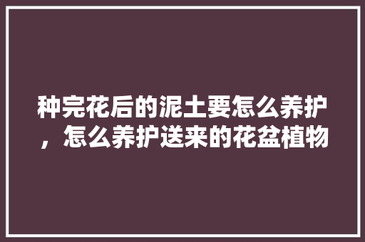 种完花后的泥土要怎么养护,怎么养护送来的花盆植物呢。 爬藤植物 种完花后的泥土要怎么养护,怎么养护送来的花盆植物呢。 第1张 种完花后的泥土要怎么养护,怎么养护送来的花盆植物呢。 爬藤植物