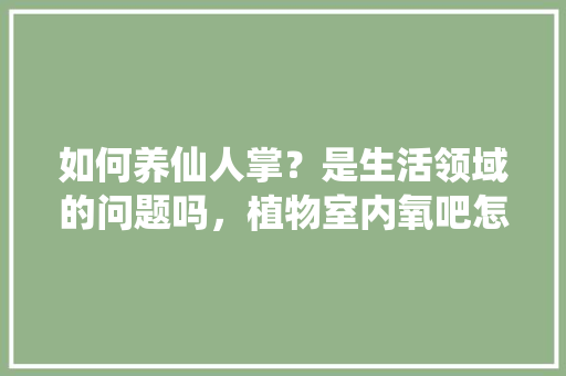 如何养仙人掌？是生活领域的问题吗，植物室内氧吧怎么养护的呢。