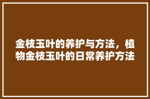 金枝玉叶的养护与方法，植物金枝玉叶的日常养护方法。  第1张 金枝玉叶的养护与方法，植物金枝玉叶的日常养护方法。 施肥方法