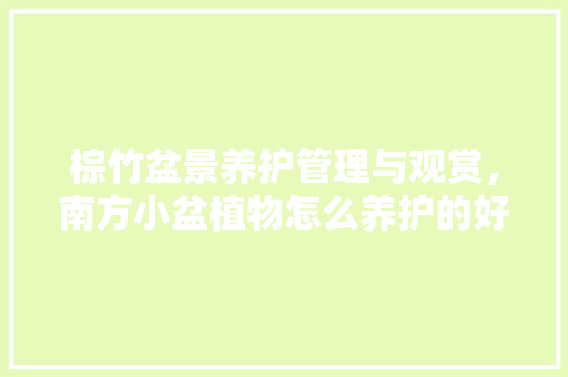 棕竹盆景养护管理与观赏，南方小盆植物怎么养护的好。  第1张 棕竹盆景养护管理与观赏，南方小盆植物怎么养护的好。 观叶植物