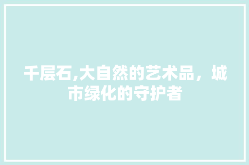 千层石,大自然的艺术品，城市绿化的守护者 植物分类