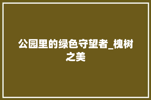 公园里的绿色守望者_槐树之美