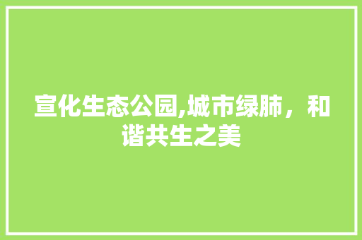 宣化生态公园,城市绿肺，和谐共生之美