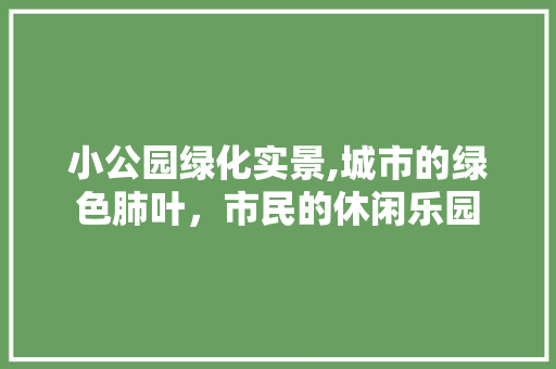 小公园绿化实景,城市的绿色肺叶，市民的休闲乐园 爬藤植物