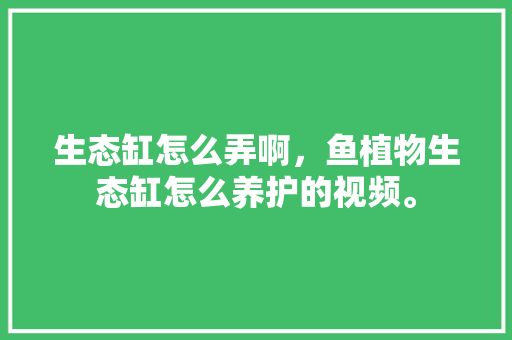 生态缸怎么弄啊，鱼植物生态缸怎么养护的视频。