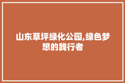 山东草坪绿化公园,绿色梦想的践行者 土壤管理