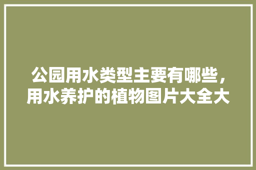 公园用水类型主要有哪些，用水养护的植物图片大全大图。