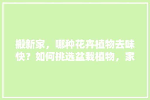 搬新家，哪种花卉植物去味快？如何挑选盆栽植物，家内养护的花卉植物图片大全。