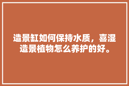 造景缸如何保持水质，喜湿造景植物怎么养护的好。