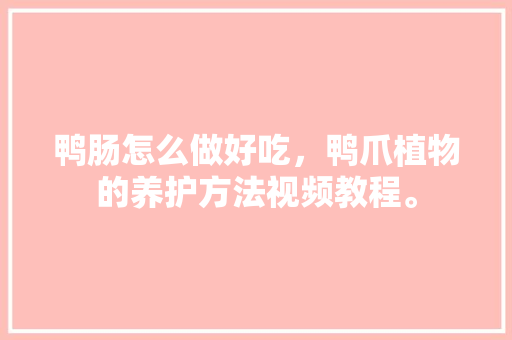 鸭肠怎么做好吃，鸭爪植物的养护方法视频教程。