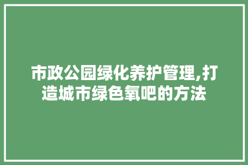 市政公园绿化养护管理,打造城市绿色氧吧的方法 植物栽培